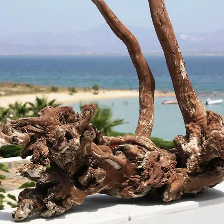 فندق Paros Blue Dolphin Fully Renovated By Rivea Group كريس أكتي