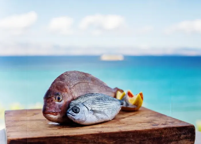 Paros Blue Dolphin Fully Renovated By Rivea Group