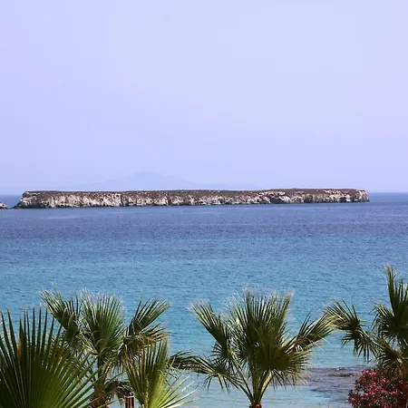 Paros Blue Dolphin Fully Renovated By Rivea Group Χρυσή Ακτή
