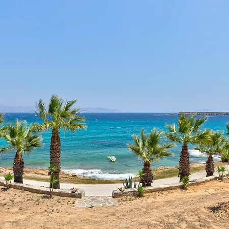 Paros Blue Dolphin Fully Renovated By Rivea Group Otel