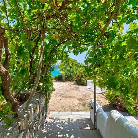 ホテル Paros Blue Dolphin Fully Renovated By Rivea Group *