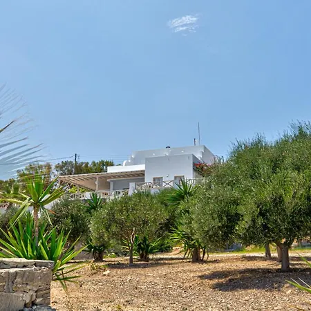 ホテル Paros Blue Dolphin Fully Renovated By Rivea Group