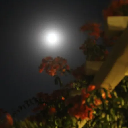 Paros Blue Dolphin Fully Renovated By Rivea Group Otel