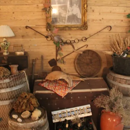 Paros Blue Dolphin Fully Renovated By Rivea Group Otel