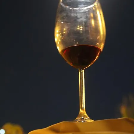 Paros Blue Dolphin Fully Renovated By Rivea Group * クリシ・アクティ