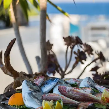 ホテル Paros Blue Dolphin Fully Renovated By Rivea Group *