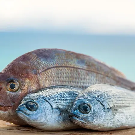 ホテル Paros Blue Dolphin Fully Renovated By Rivea Group *