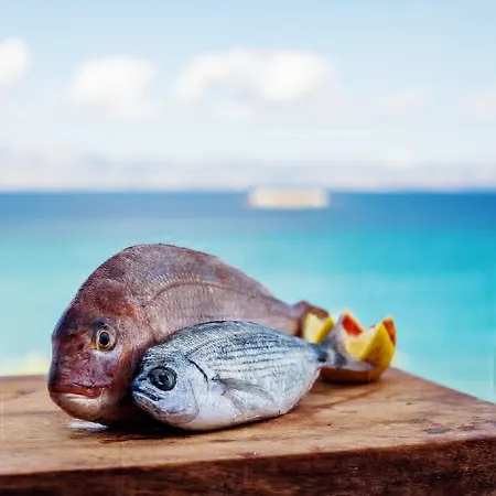 Paros Blue Dolphin Fully Renovated By Rivea Group