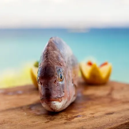 Paros Blue Dolphin Fully Renovated By Rivea Group ホテル クリシ・アクティ