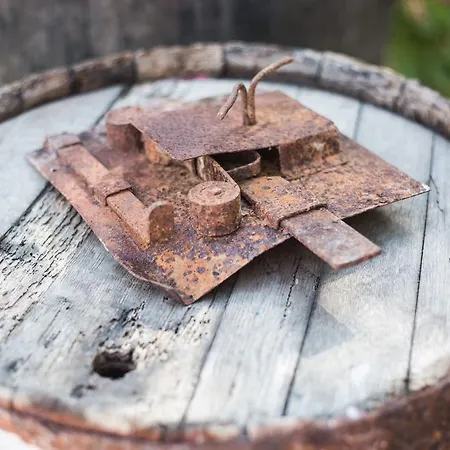 Paros Blue Dolphin Fully Renovated By Rivea Group クリシ・アクティ