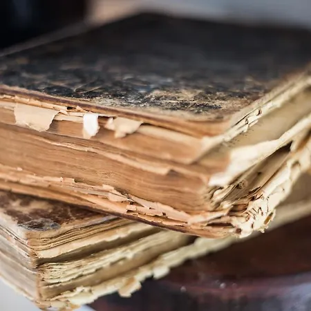 Paros Blue Dolphin Fully Renovated By Rivea Group Otel