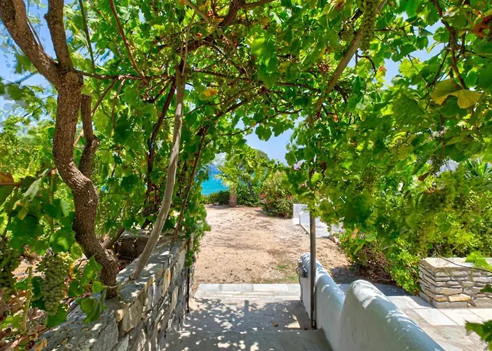 Hotel Paros Blue Dolphin Fully Renovated By Rivea Group *