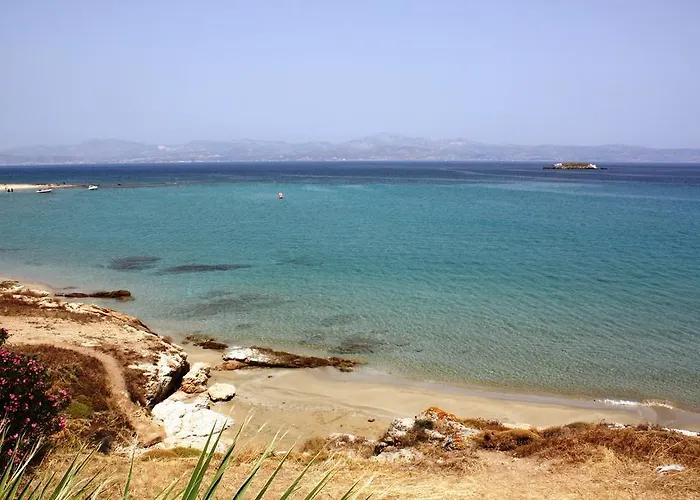 Hotel Paros Blue Dolphin Fully Renovated By Rivea Group Chrisi Akti (Paros)