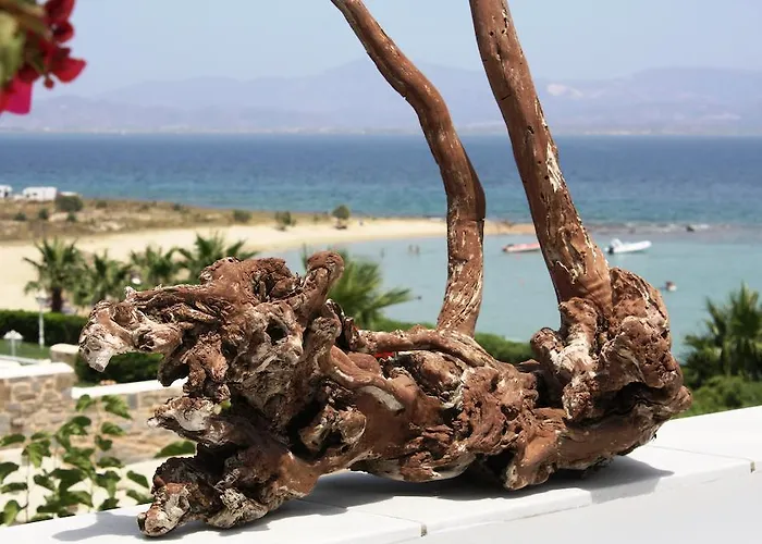 Hotel Paros Blue Dolphin Fully Renovated By Rivea Group Chrisi Akti (Paros)