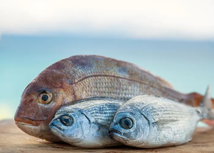 Hotel Paros Blue Dolphin Fully Renovated By Rivea Group *