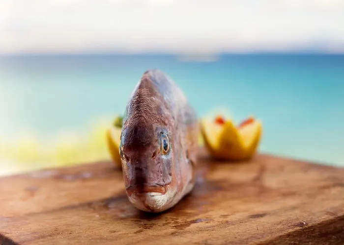 Paros Blue Dolphin Fully Renovated By Rivea Group Hotel Chrisi Akti (Paros)